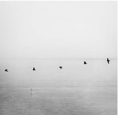 Screen Shot 2013-02-01 at 11.30.45 AM