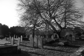 cemetery-20005_1280