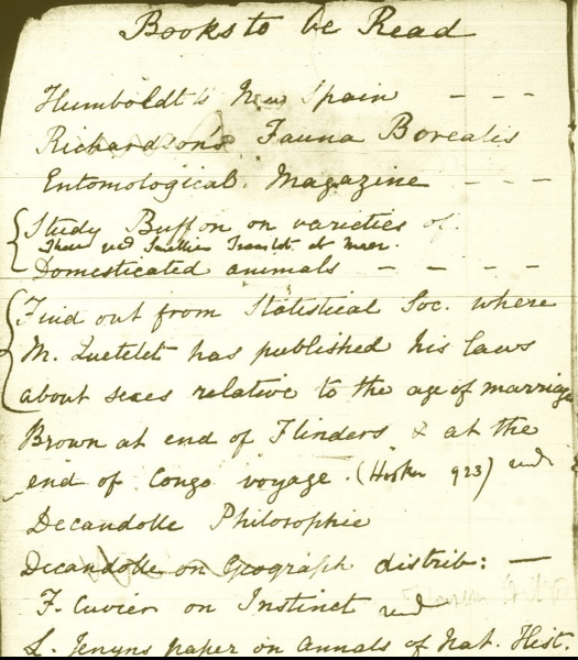 Screen Shot 2013-07-01 at 11.09.55 AM