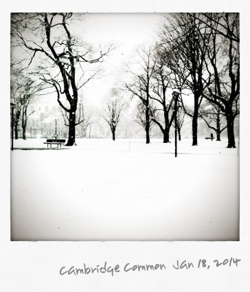Snow on Cambridge Common