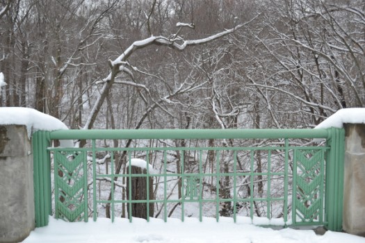 Bridge Fence and Snow