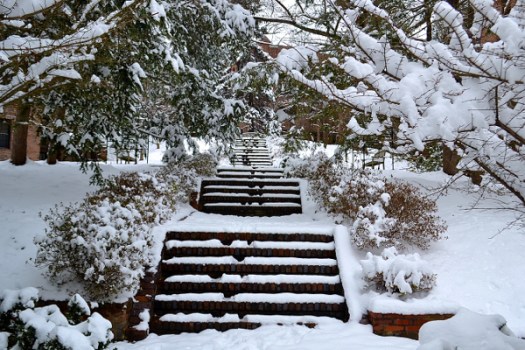 Snowy Steps